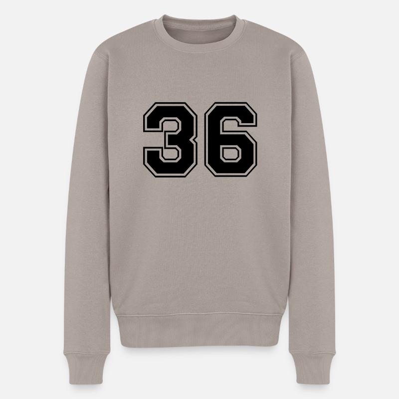 36 - Pull Premium bio Homme - taupe