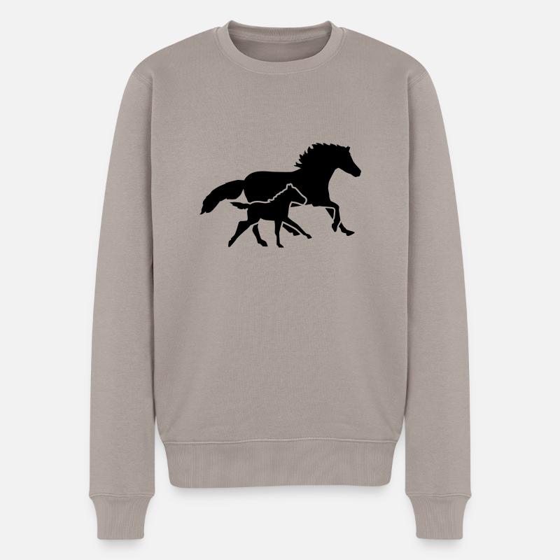 Cheval - Pull Premium bio Homme - taupe