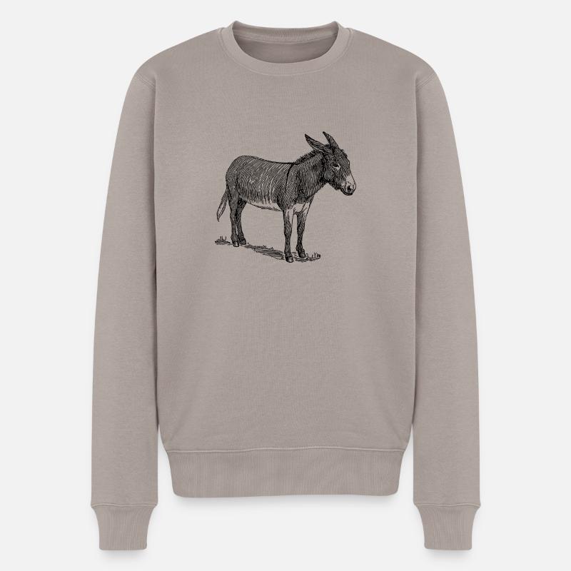 baudet - Pull Premium bio Homme - taupe