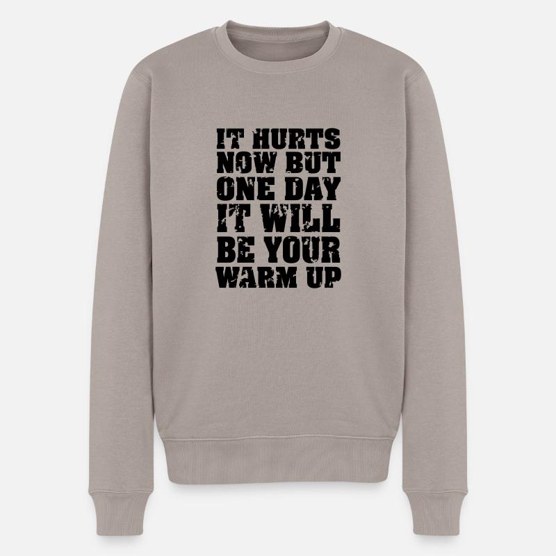 It Hurts Now... - Männer Premium Bio Pullover - Taupe