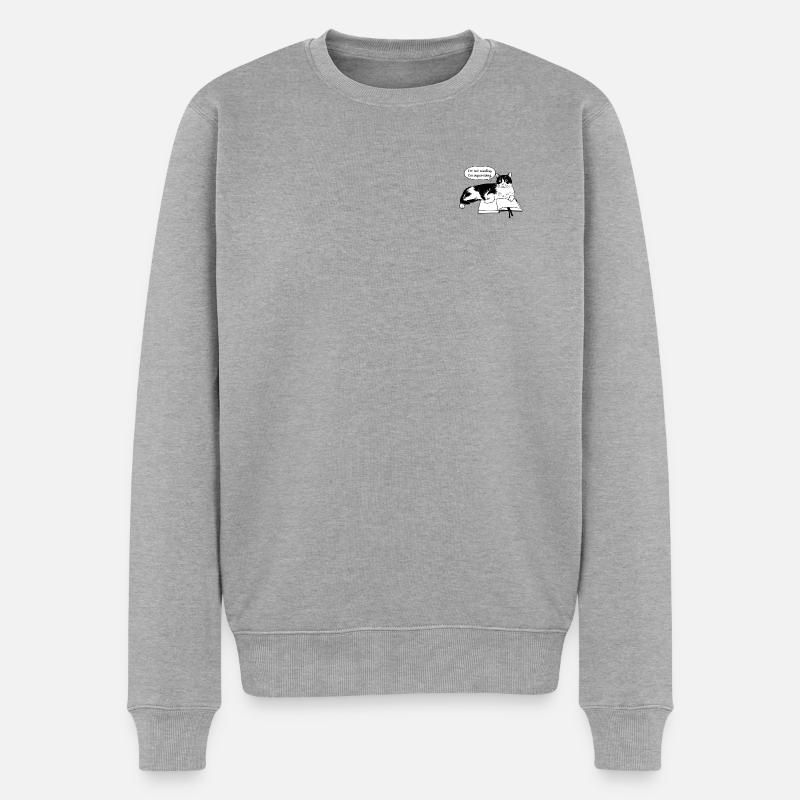 Je ne lis pas - Pull Premium bio Homme - gris chiné