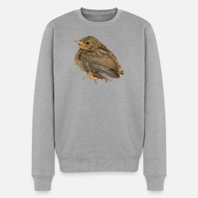 Succursale de Robin - Pull Premium bio Homme - gris chiné