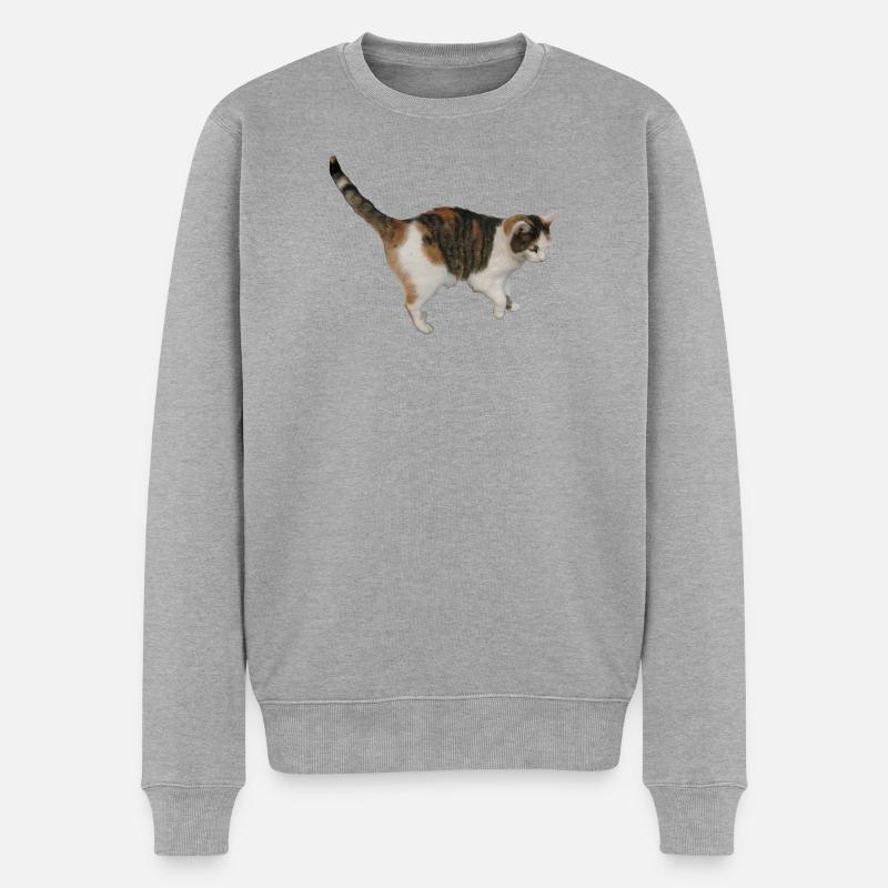 Chat - Pull Premium bio Homme - gris chiné