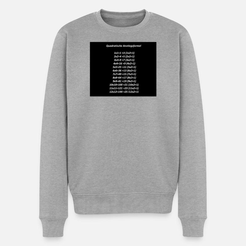 Quadratische Anstiegsformel - Männer Premium Bio Pullover - Grau meliert