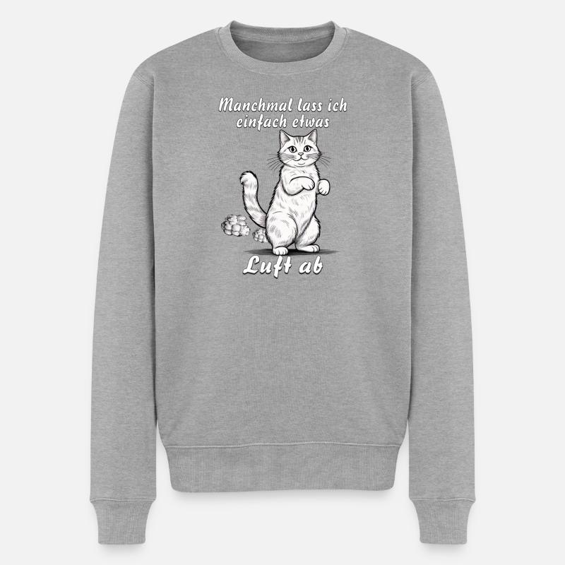 KATZE lasse Luft ab - Männer Premium Bio Pullover - Grau meliert