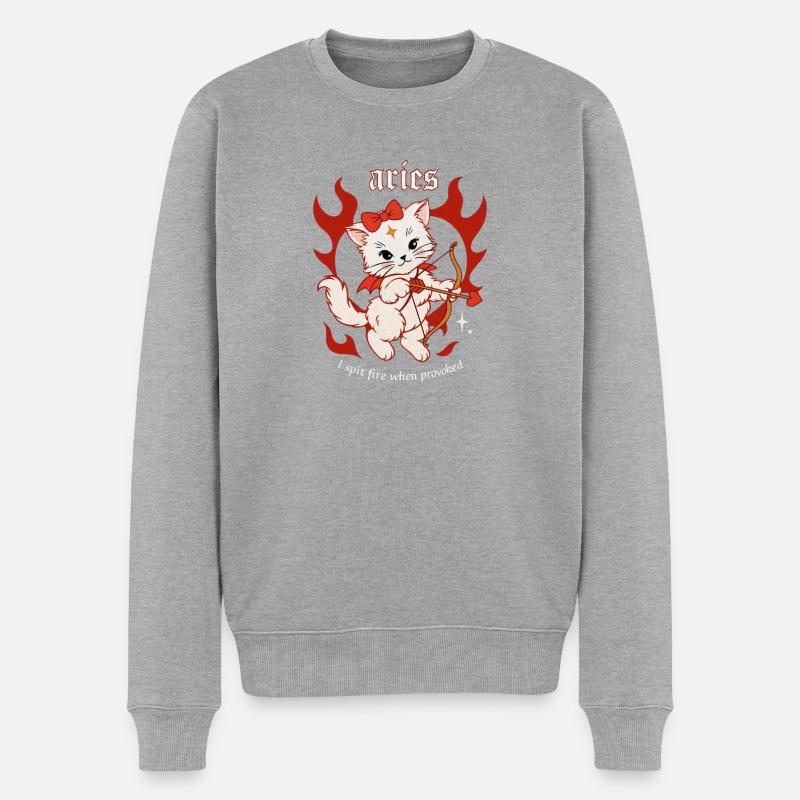 Aries Feuerkätzchen Bogenschütze - Männer Premium Bio Pullover - Grau meliert