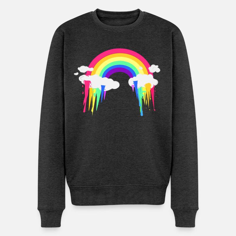 Regenbogen Wolken Abstrak - Männer Premium Bio Pullover - Anthrazit meliert