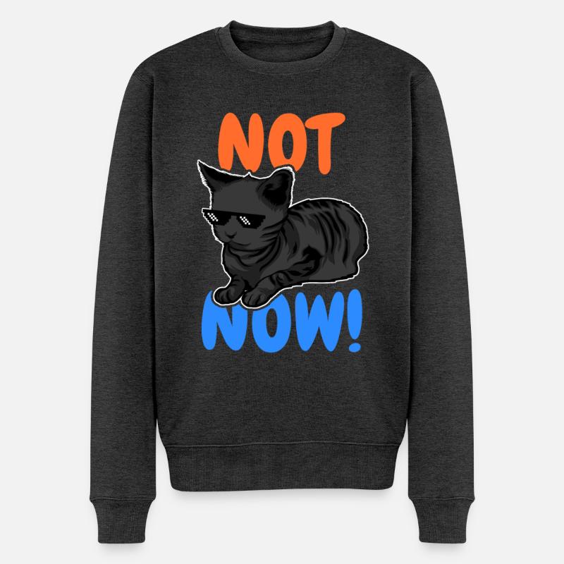 Drôle de chat - Pull Premium bio Homme - anthracite chiné