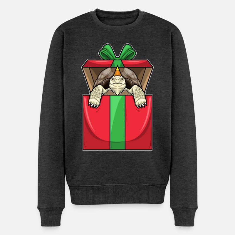 Forfait Anniversaire Tortue - Pull Premium bio Homme - anthracite chiné