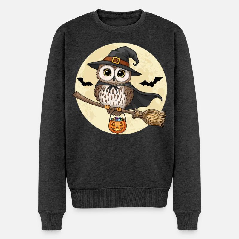 Mignon hibou sorcière Halloween - Pull Premium bio Homme - anthracite chiné