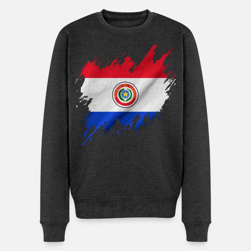 Paraguay-Flagge, Rissen-Stil - Männer Premium Bio Pullover - Anthrazit meliert