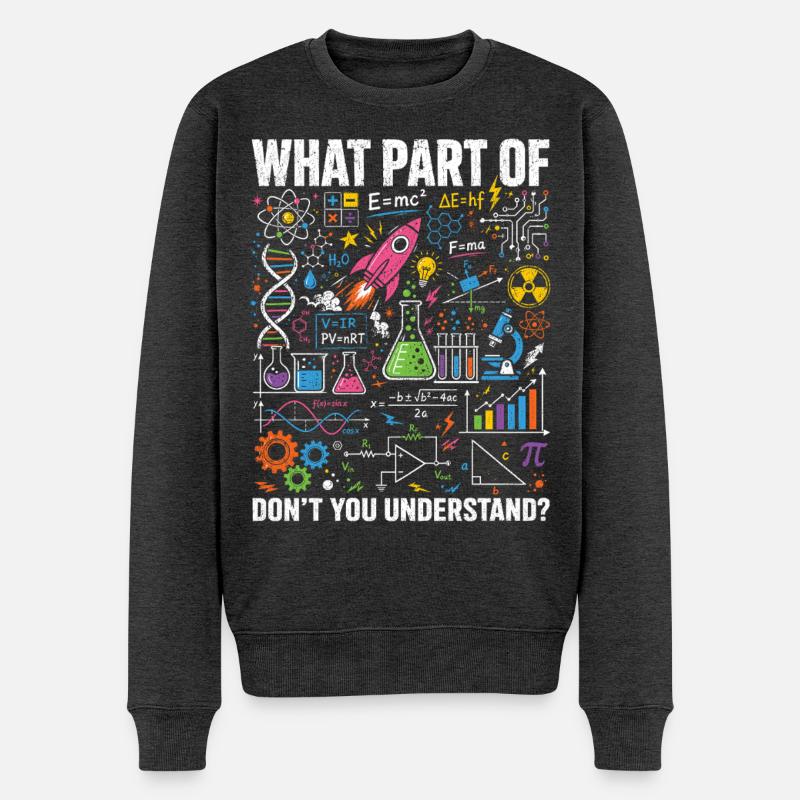 Physik Mathe Science Spruch Shirt - Männer Premium Bio Pullover - Anthrazit meliert