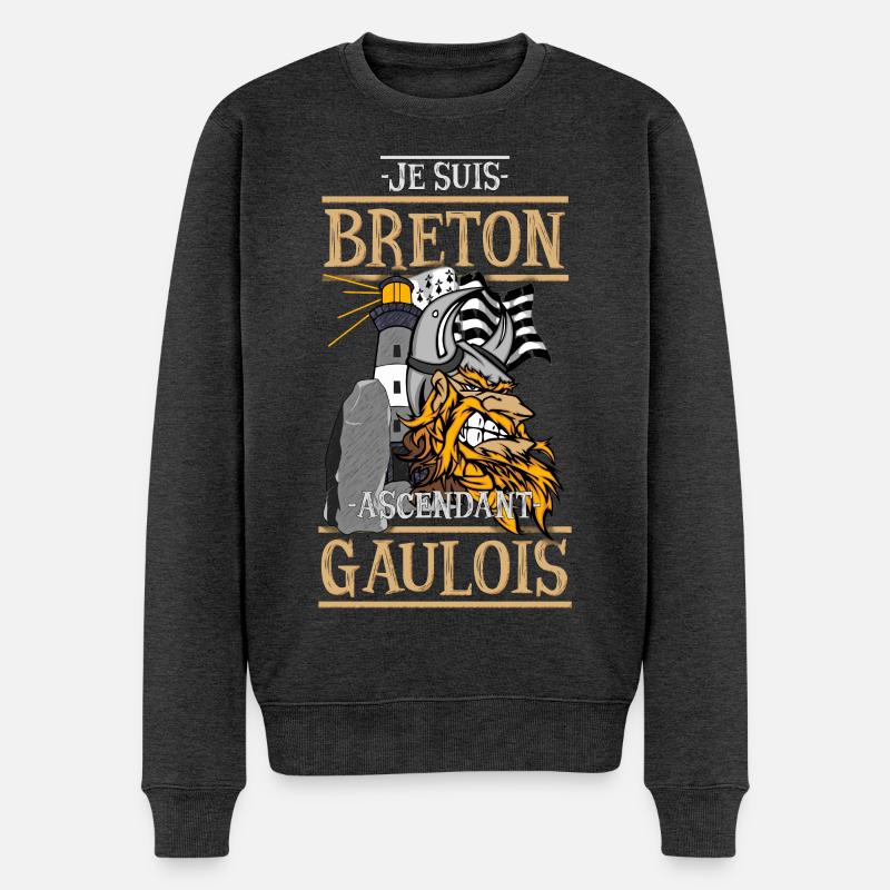 Gallischer Aszendent - Männer Premium Bio Pullover - Anthrazit meliert