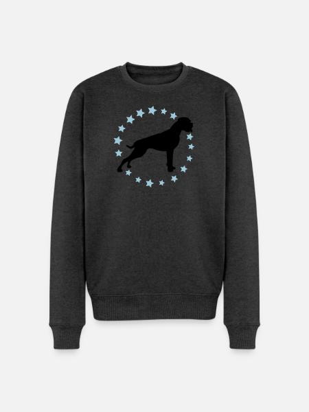 Boxer Sternenkreis 2 farb - Männer Premium Bio Pullover - Anthrazit meliert