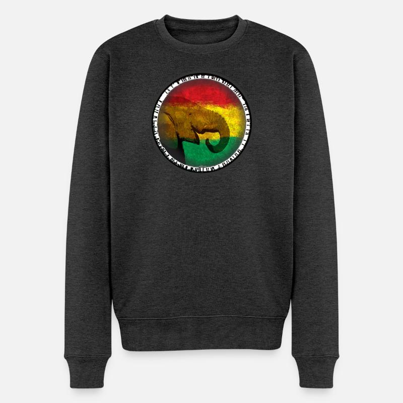 Elefantenwelt im Rasta-Design - Männer Premium Bio Pullover - Anthrazit meliert