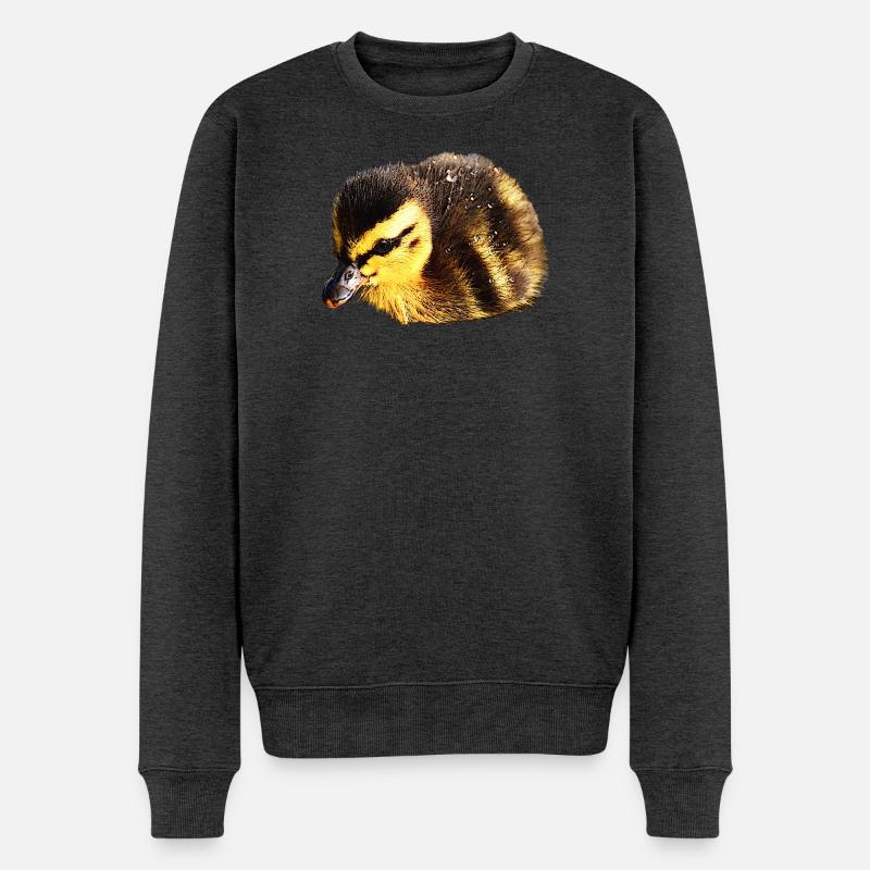Canards, poussins, oiseaux, bébés animaux - Pull Premium bio Homme - anthracite chiné