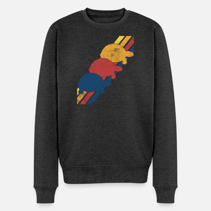 Schildkröte Schildkröten - Männer Premium Bio Pullover - Anthrazit meliert
