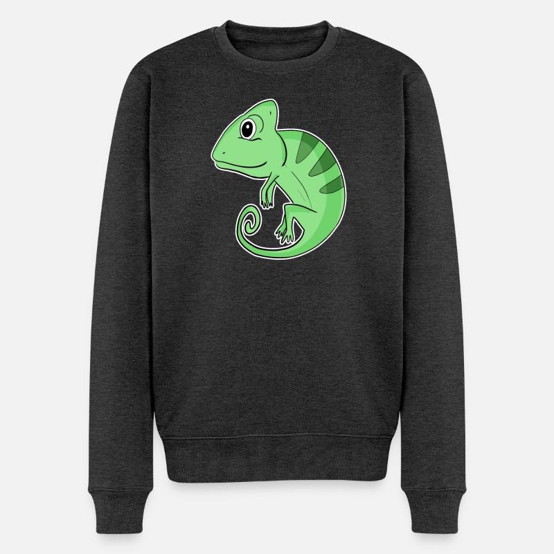 Chamäleons Chamäleon - Männer Premium Bio Pullover - Anthrazit meliert