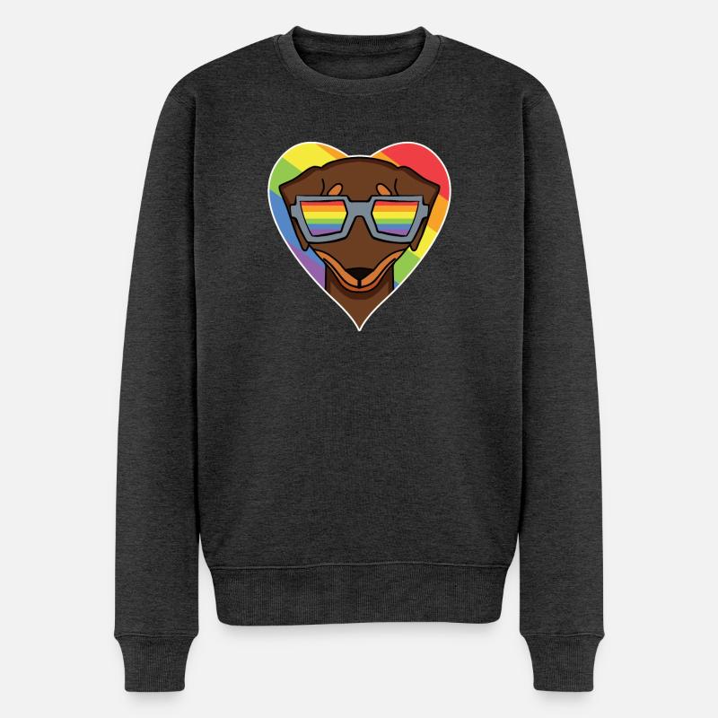 Regenbogen - Hund mit Brille - Dackel - Männer Premium Bio Pullover - Anthrazit meliert