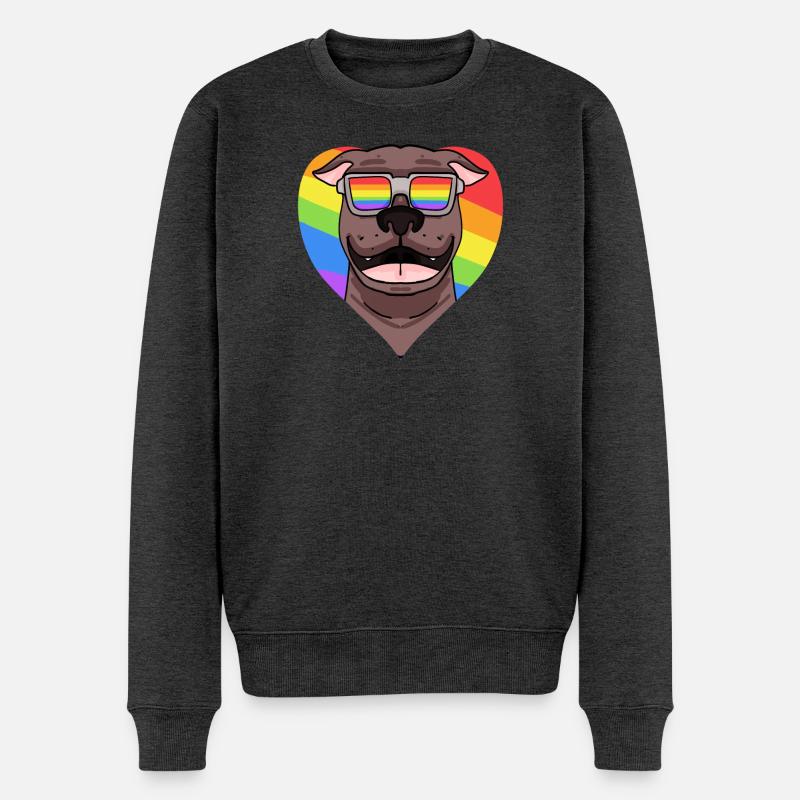 Rainbow - Chien pitbull avec lunettes - Pull Premium bio Homme - anthracite chiné