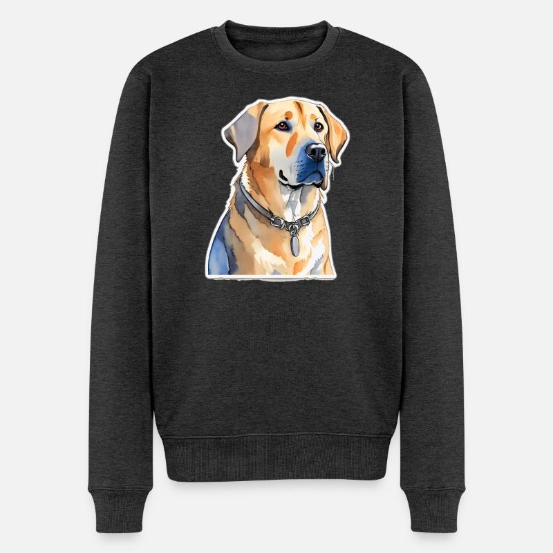 Labrador - Pull Premium bio Homme - anthracite chiné