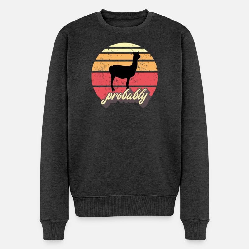 Alpaga - Pull Premium bio Homme - anthracite chiné