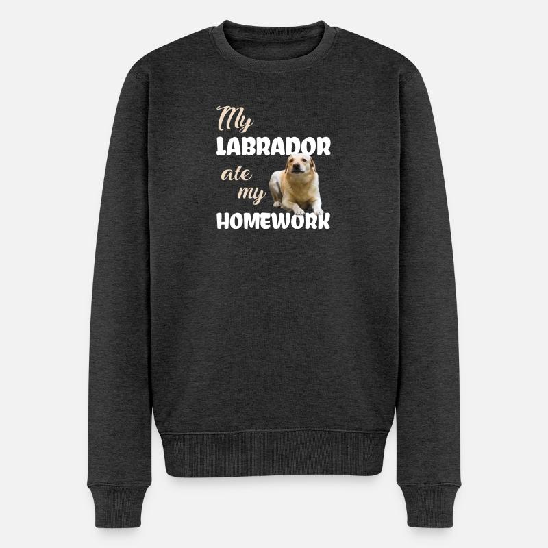 Devoirs du Labrador - Pull Premium bio Homme - anthracite chiné