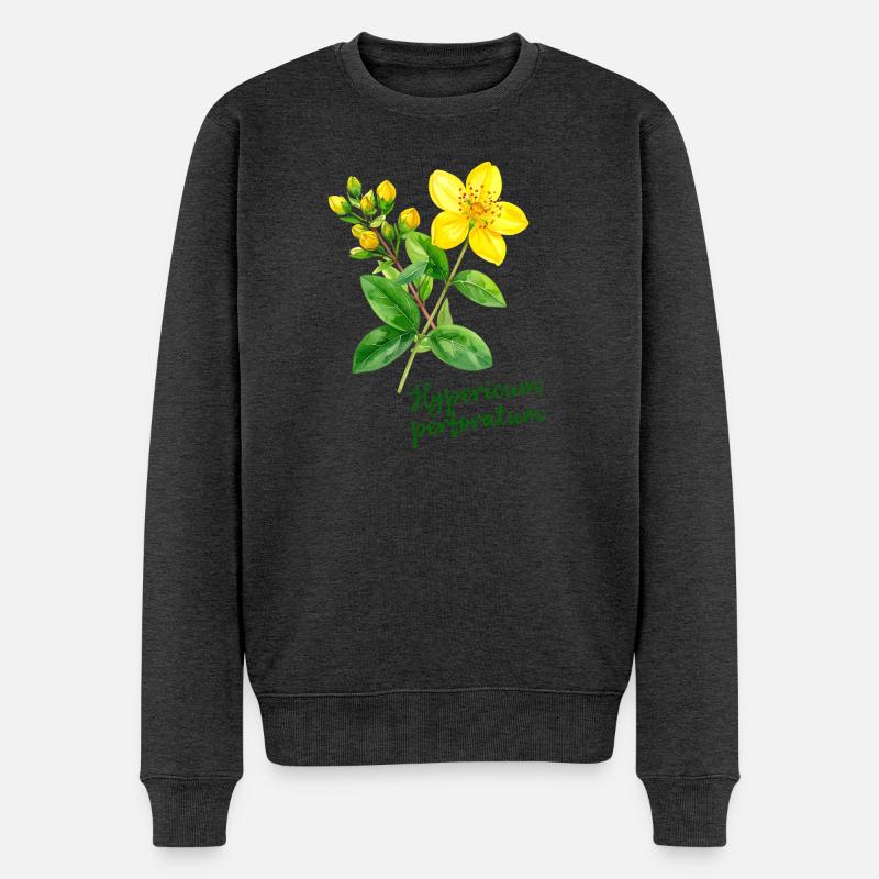 Hypericum perforatum - botanische Illustration - Männer Premium Bio Pullover - Anthrazit meliert