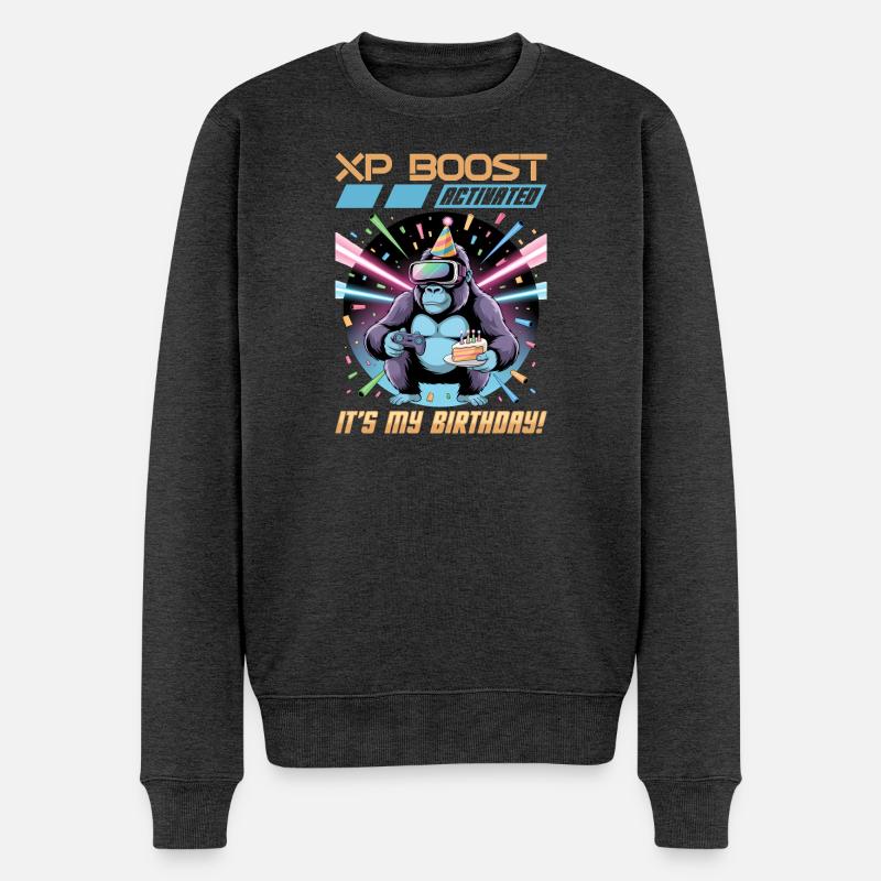 Birthday Gamer VR - Männer Premium Bio Pullover - Anthrazit meliert