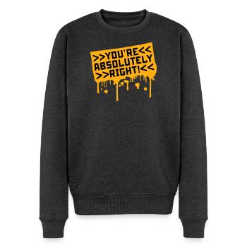 You're Absolutely Right Lustig Sarkastisch KI Logo - Männer Premium Bio Pullover - Anthrazit meliert - Vorne - Thijin (182cm)