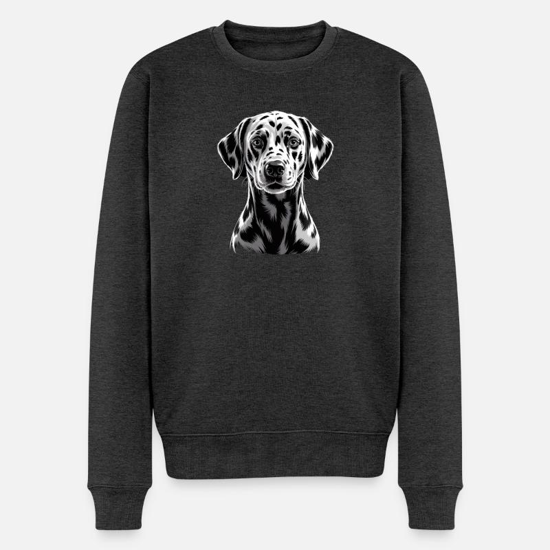 Dalmate - Pull Premium bio Homme - anthracite chiné