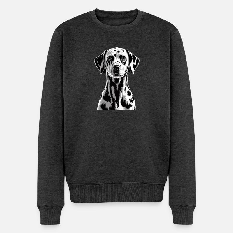 Dalmate - Pull Premium bio Homme - anthracite chiné