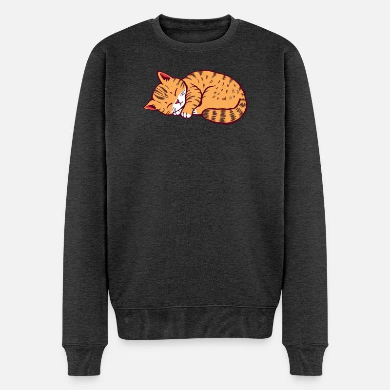 schlafende Katze Kätzchen Tigerkatze - Männer Premium Bio Pullover - Anthrazit meliert