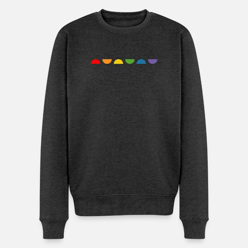 Regenbogen Halbkreis - Männer Premium Bio Pullover - Anthrazit meliert