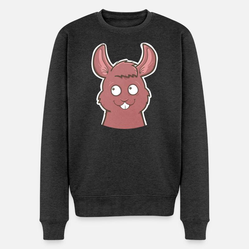 Écureuil - Pull Premium bio Homme - anthracite chiné