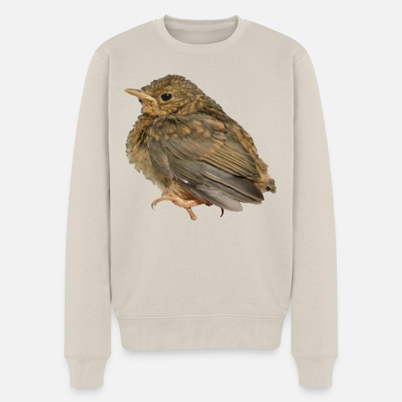 Succursale de Robin - Pull Premium bio Homme - beige
