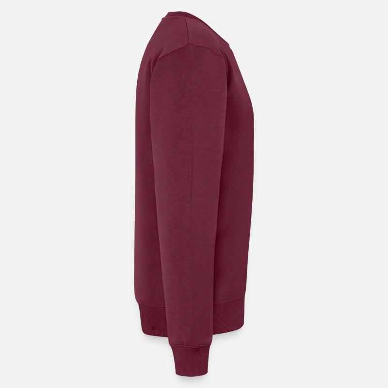 Passo di Valparola – Dolomites Pass Men's Premium Organic Jumper