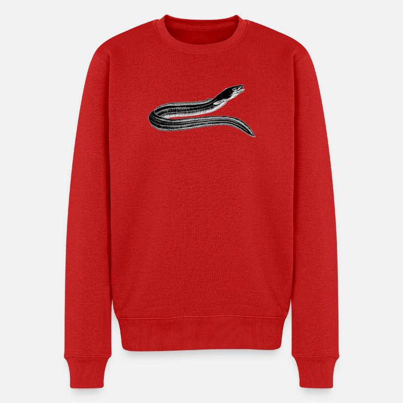 Aal - Männer Premium Bio Pullover - Rot