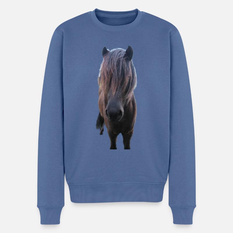 Chevaux T-shirt Cadeau Cavalier - Pull Premium bio Homme - bleu pigeon