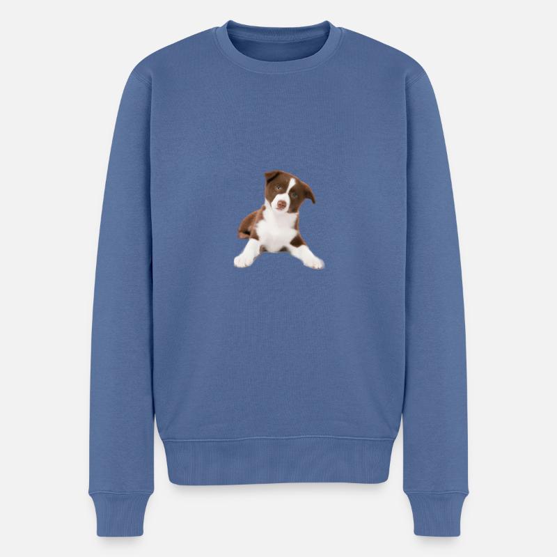 Chiot - Pull Premium bio Homme - bleu pigeon