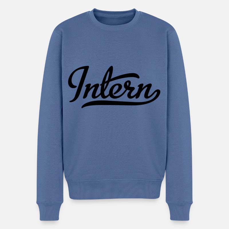 Intern - Männer Premium Bio Pullover - Taubenblau
