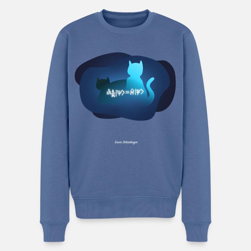 Erwin Schrödinger - Gleichung und Kat - Männer Premium Bio Pullover - Taubenblau