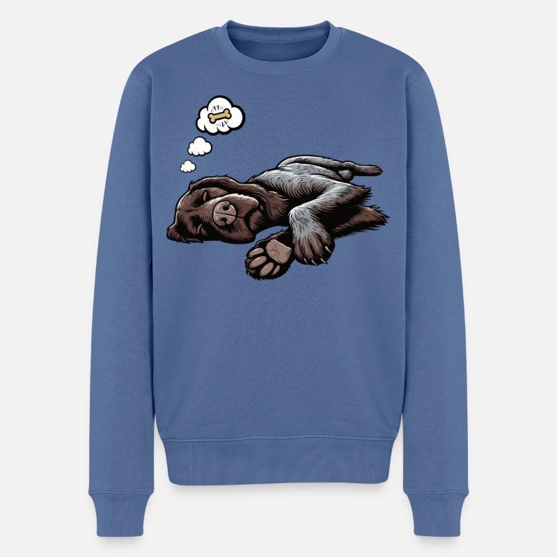 Deutsch Drahthaar Deutsch-Drahthaar Besitzer - Männer Premium Bio Pullover - Taubenblau