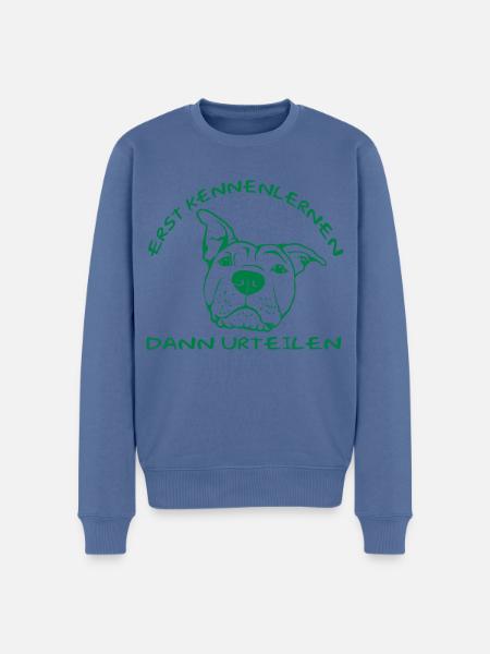Erst Kennenlernen - Dann Urteilen - Männer Premium Bio Pullover - Taubenblau