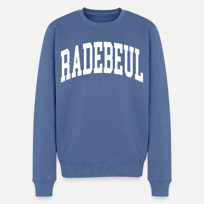 Radebeul - Pull Premium bio Homme - bleu pigeon