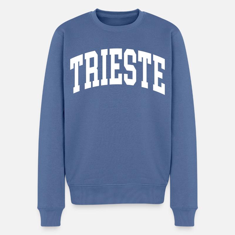 Trieste - Pull Premium bio Homme - bleu pigeon
