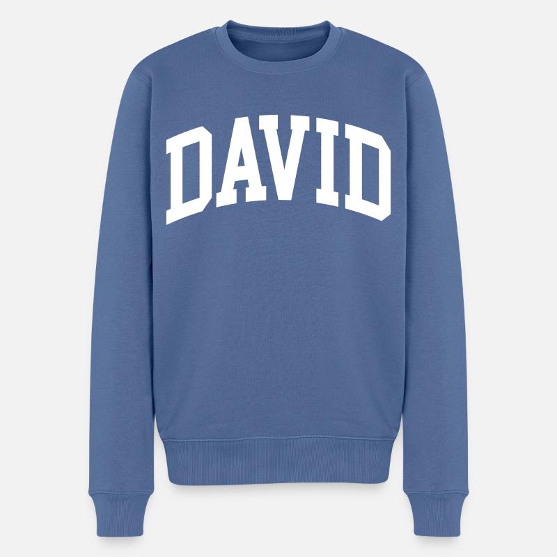 David - Pull Premium bio Homme - bleu pigeon