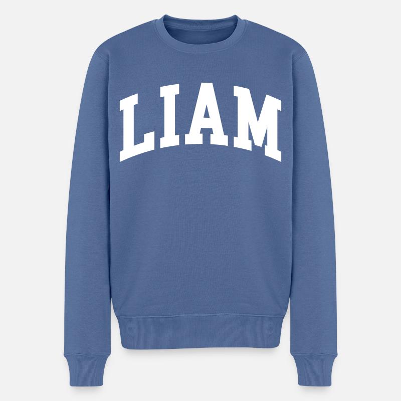 Liam - Männer Premium Bio Pullover - Taubenblau