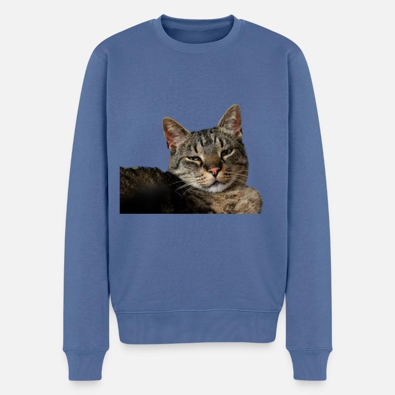 Katze Kätzchen - Männer Premium Bio Pullover - Taubenblau