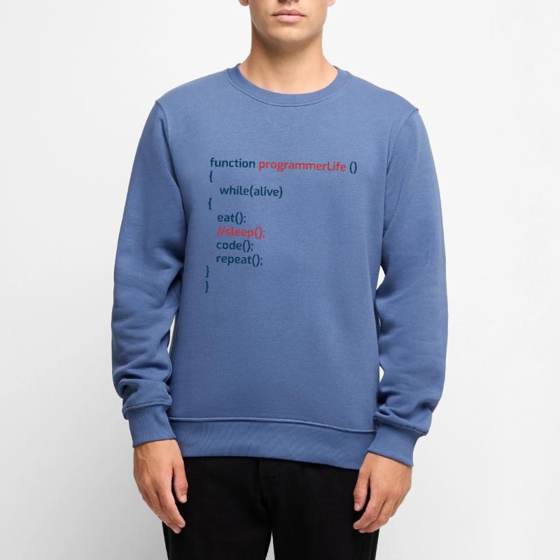 Computerprogrammierer Codierer Software Engineers Geschenk Männer Premium Bio Pullover